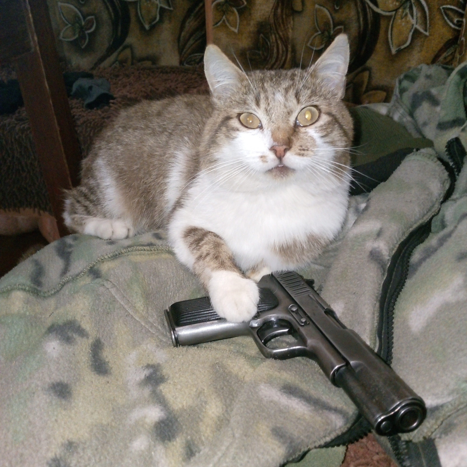 Мои пушистики !