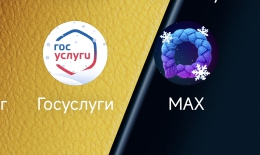 Вам звонят из MAX: как мошенники атакуют россиян через новый мессенджер