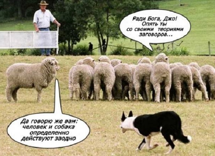 Конспирология.
