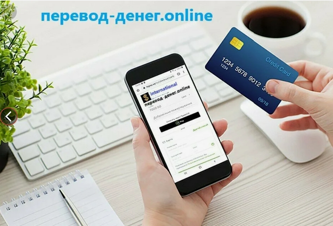 В России предложили механизм самоограничения для защиты от нежелательных переводов
