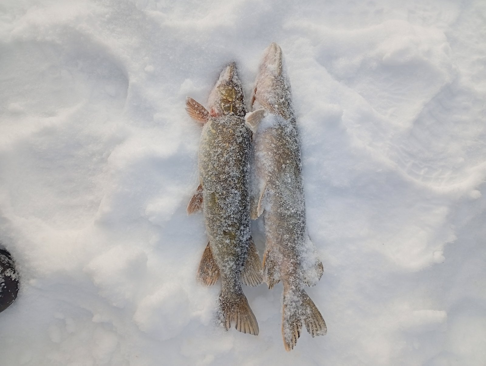 🎣 Топ-5 ненужных вещей на рыбалке: что только занимает место в рюкзаке.