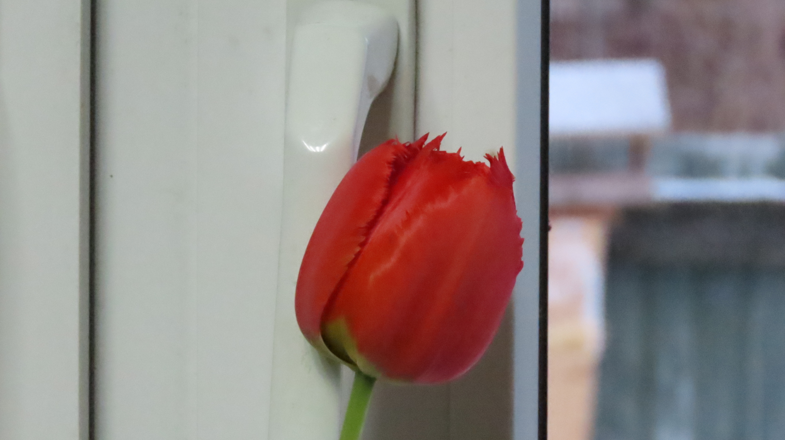 Сегодня - 3 марта 2026 года / Взгляд из Межстоличья