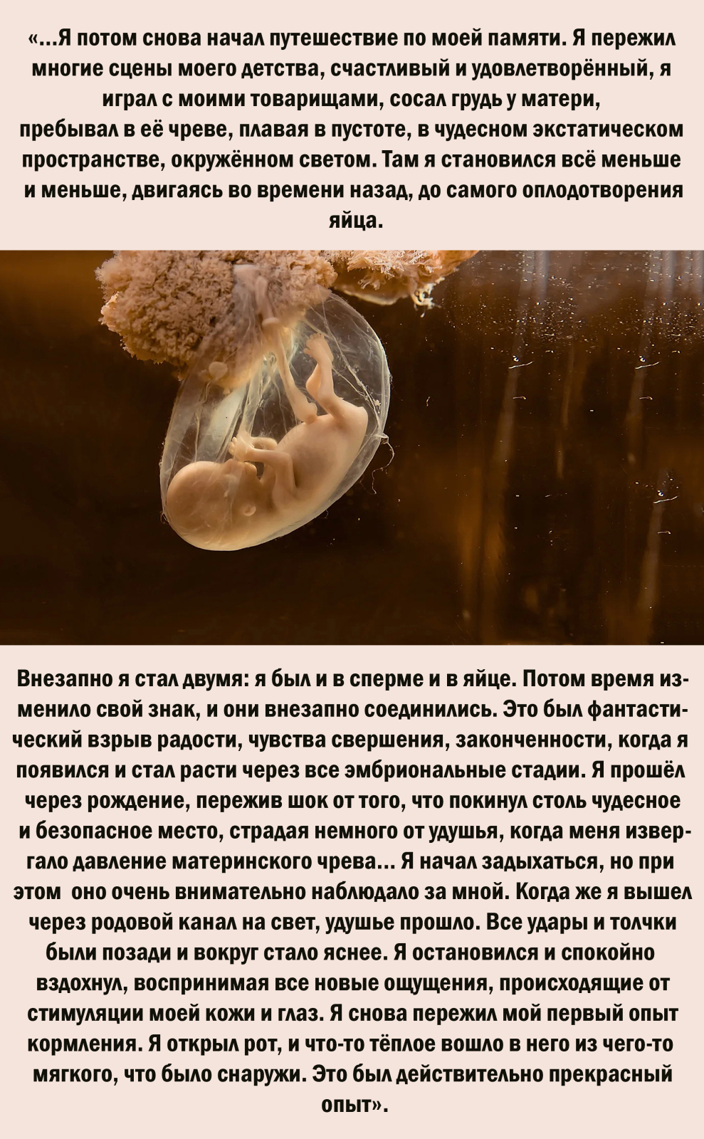 Опыты изменённого сознания американских учёных Джона Лилли, Станислава Грофа и мистические знания Карлоса Кастанеды - совпадают!
