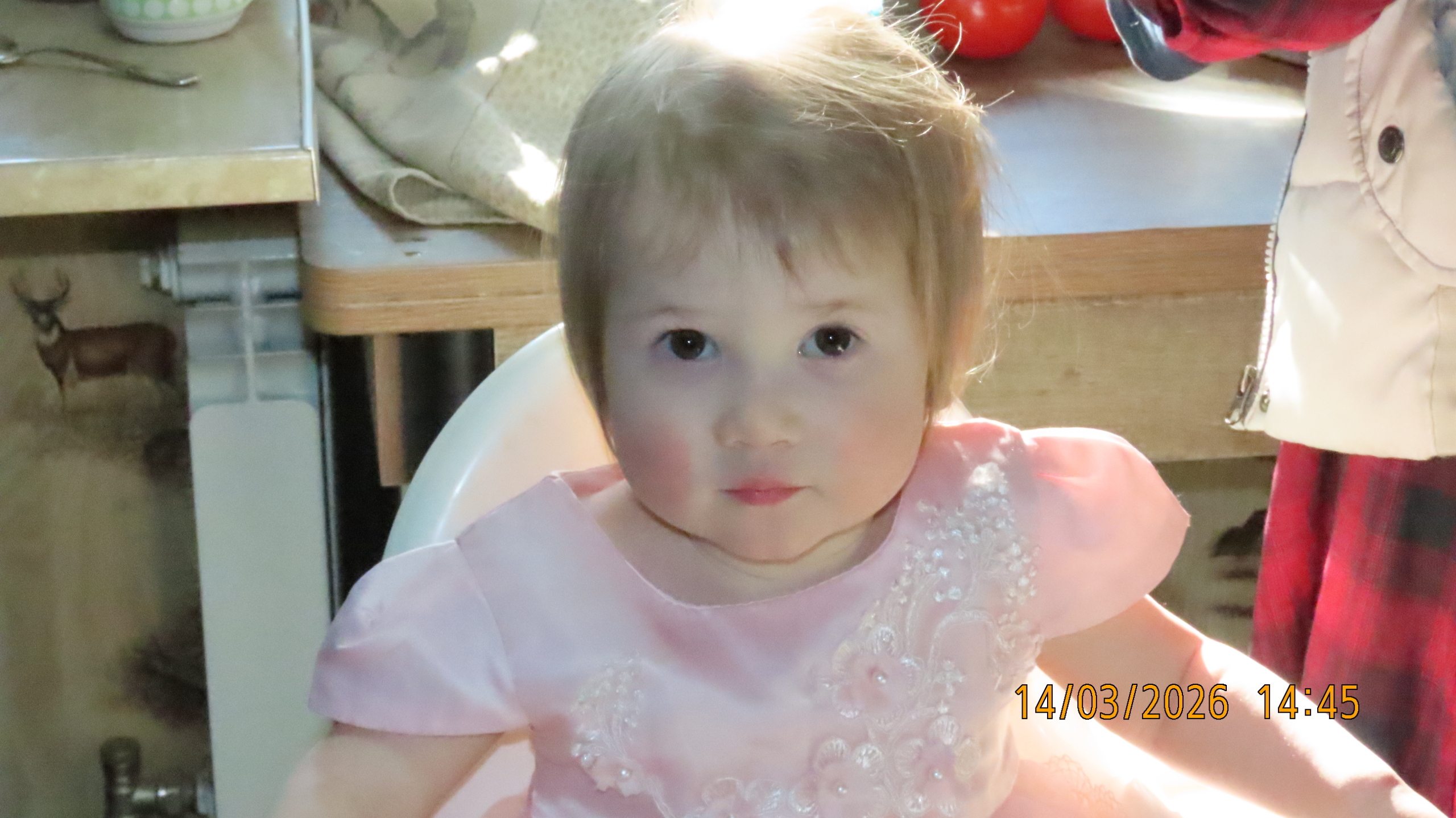 Праздник каждый день/ Сегодня -14 марта 2026 года / Взгляд из Межстоличья
