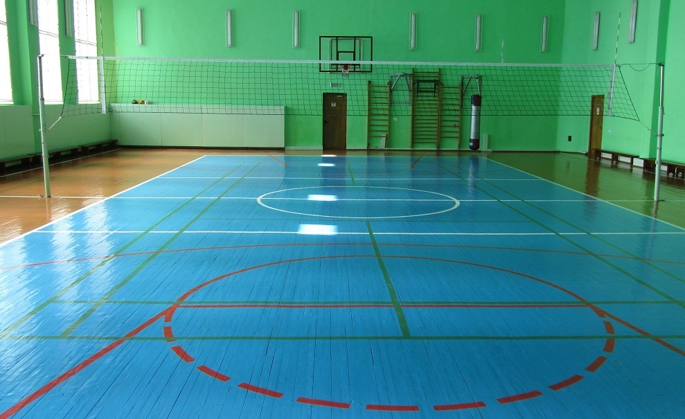 Спорт и физкультура: В чём сходства и отличия?