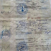 IMG_3395.jpeg