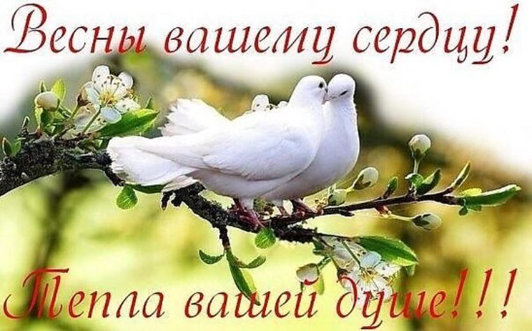 Сегодня с нами МИХАИЛ НИКОЛАЕВИЧ Задорнов