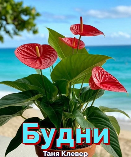 Свершилось. Выпустила свой первый альбом - "Будни. Начало."