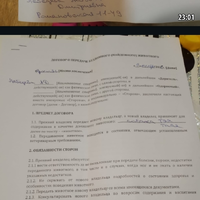 Screenshot_20260404-181138.jpg