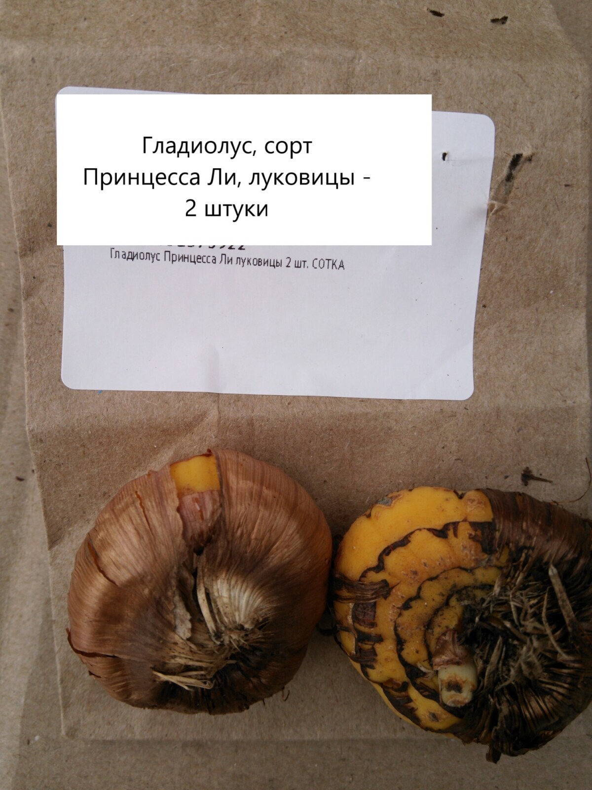 Посажу-ка я гладиолусы несколько разных сортов, которые я заказал на маркетплейсе. Всего кажется 17 луковиц будет.