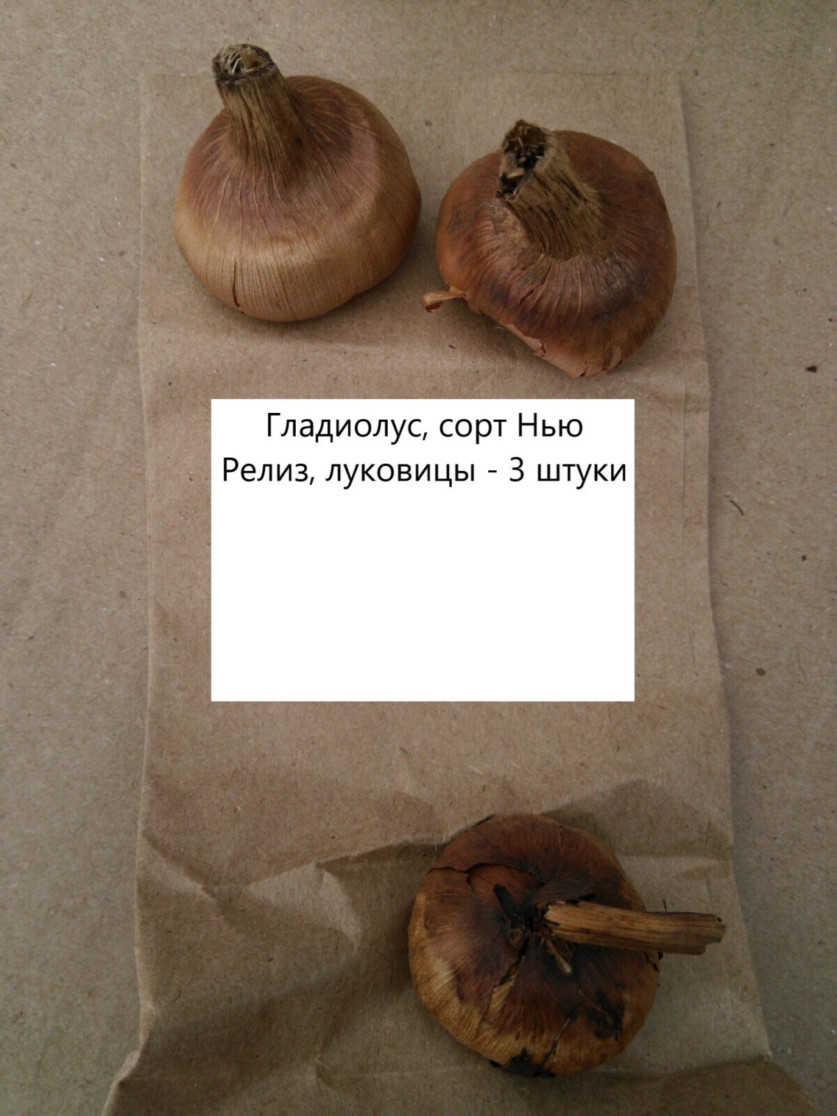 Посажу-ка я гладиолусы несколько разных сортов, которые я заказал на маркетплейсе. Всего кажется 17 луковиц будет.