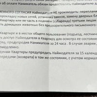 IMG_8411.jpeg