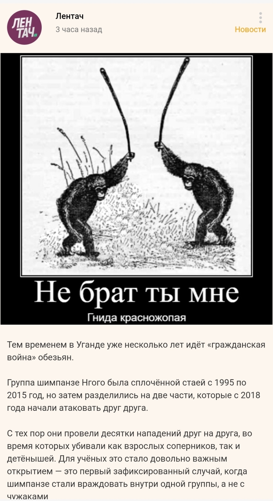 Новость сети: обезъяны Уганды ведут между собой "гражданскую войну". На повестку дня встает вопрос, если дикие животные не могут остановиться,...