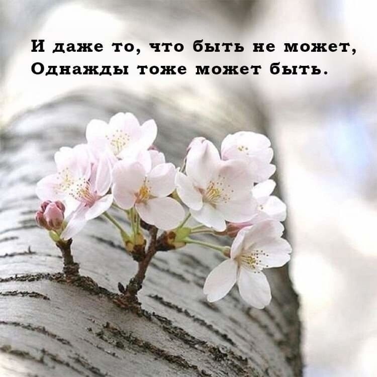 Ищите женщину...или Гадание на осень
