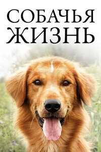 Пять собачьих жизней