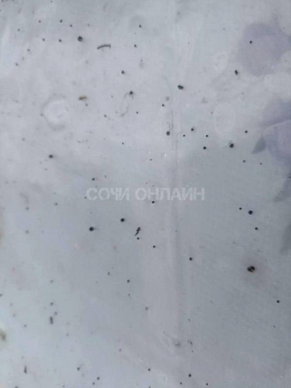 «Чёрный дождь» над Туапсе: город объявлен зоной отчуждения после атаки на НПЗ, пока губернатор приглашает туристов «отравиться» свежим воздухом