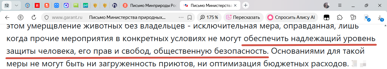 Умерщвление бездомных собак и приюты для животных - с кого спрашивать?