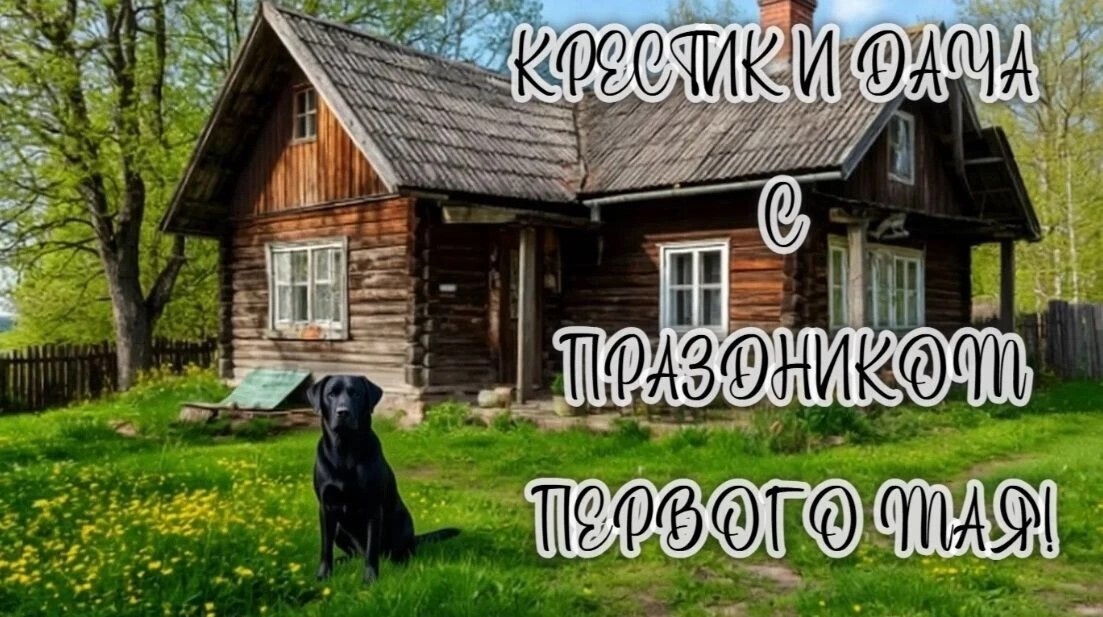 Первое мая дача и собака по кличке Крестик