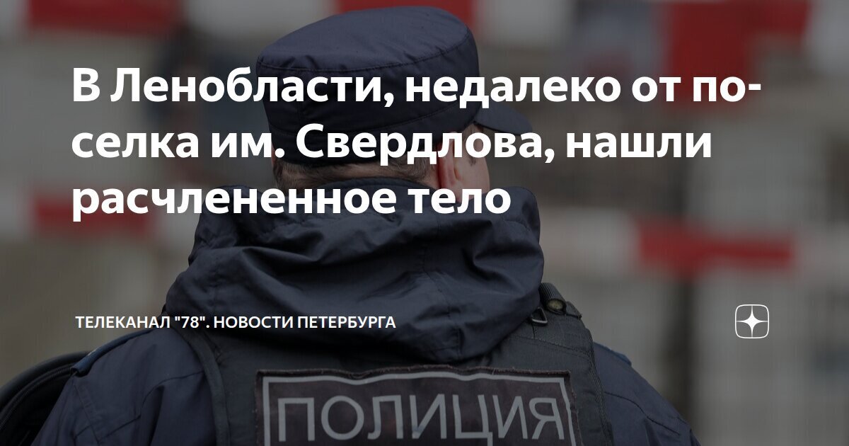 Убийство с расчленением тела.