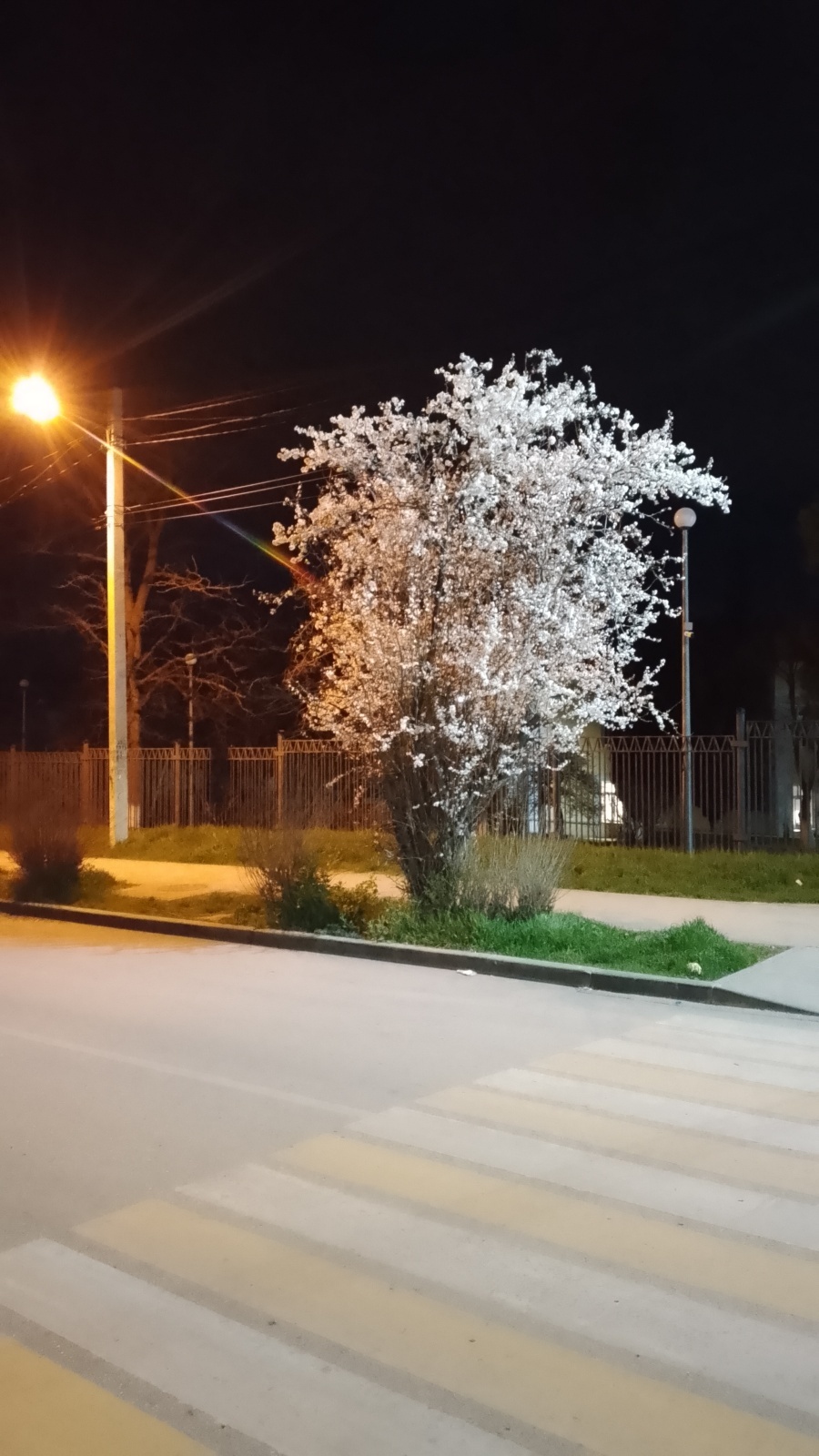 Прокурор. Рассказ