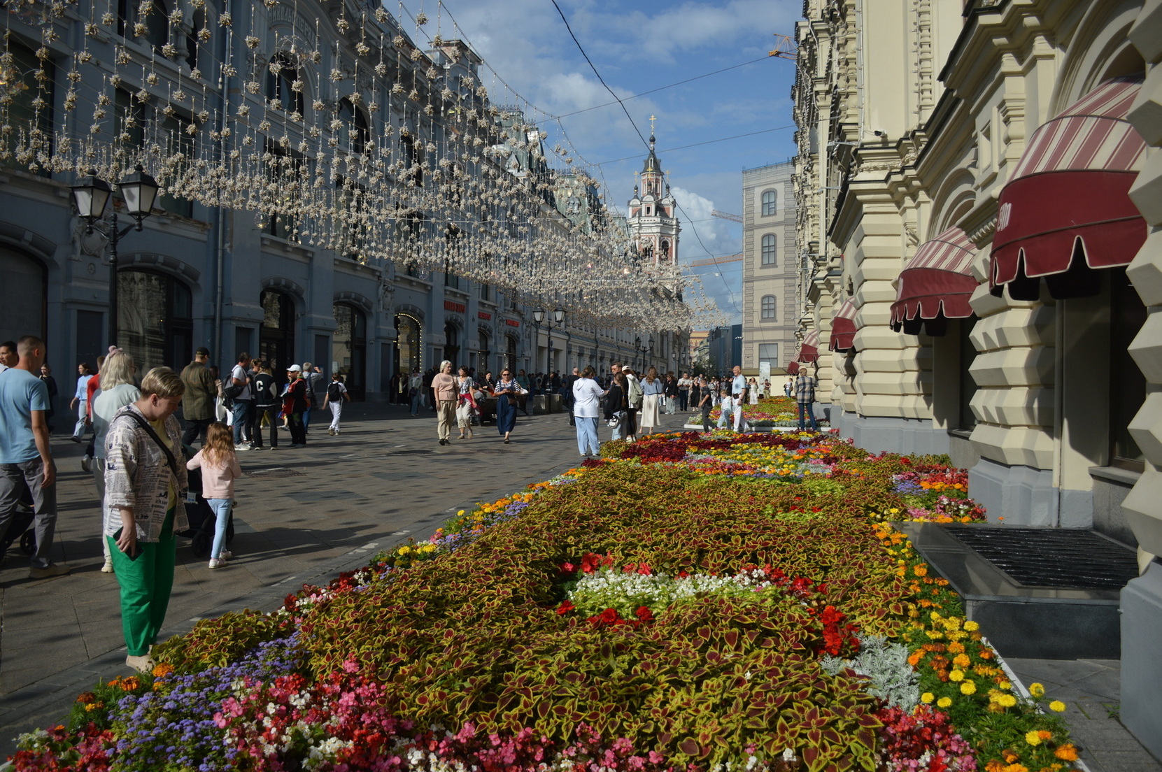 Суперколеус