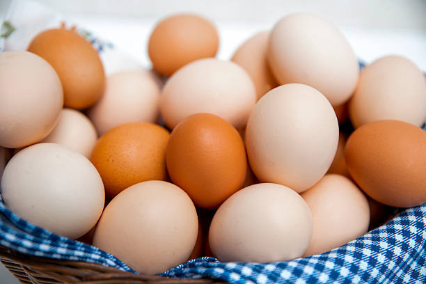 Яйца по цене икры: продуктовый цирк продолжает представление