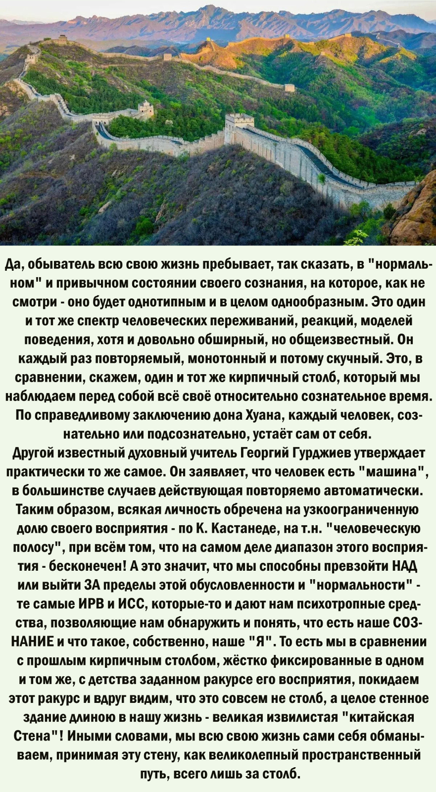 О Мировом открытии известного швейцарского химика Альберта Хофманна. Психоделическая революция состоялась?