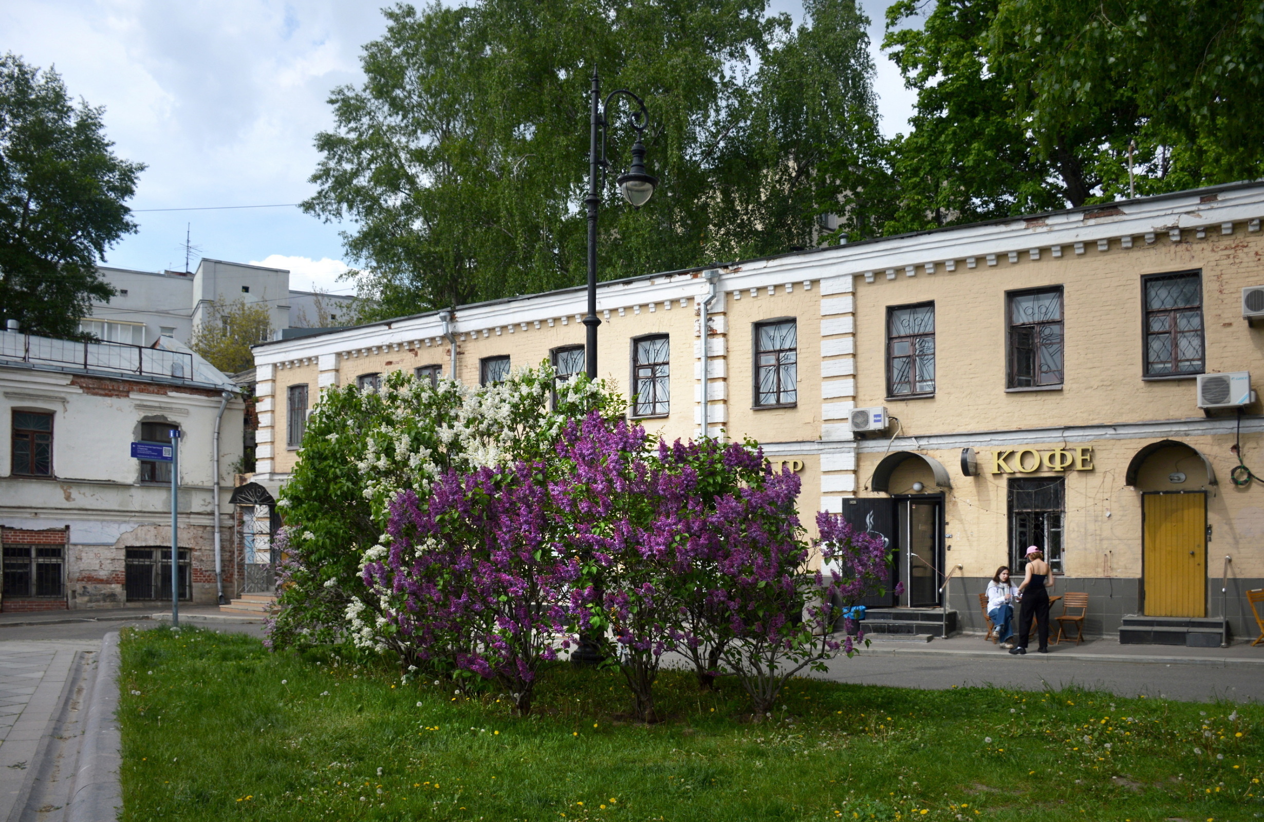 Сирень на Хитровке