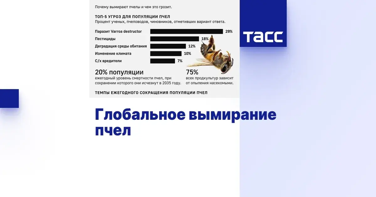 Почему вымирают пчелы и чем это грозит?