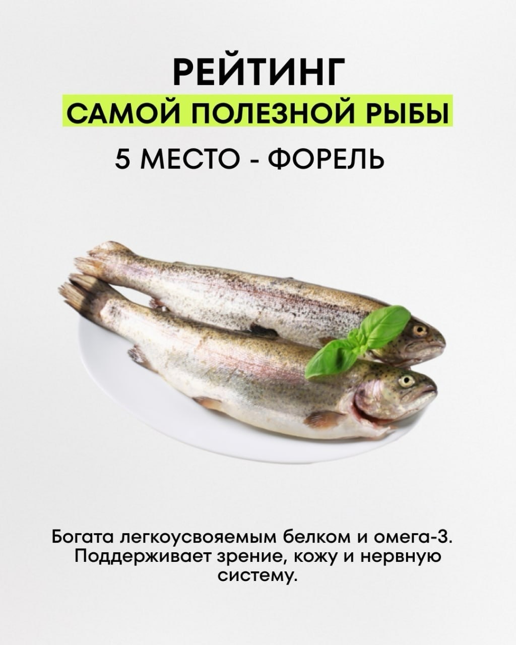 Информация к размышлению: рейтинг полезной рыбы из сети