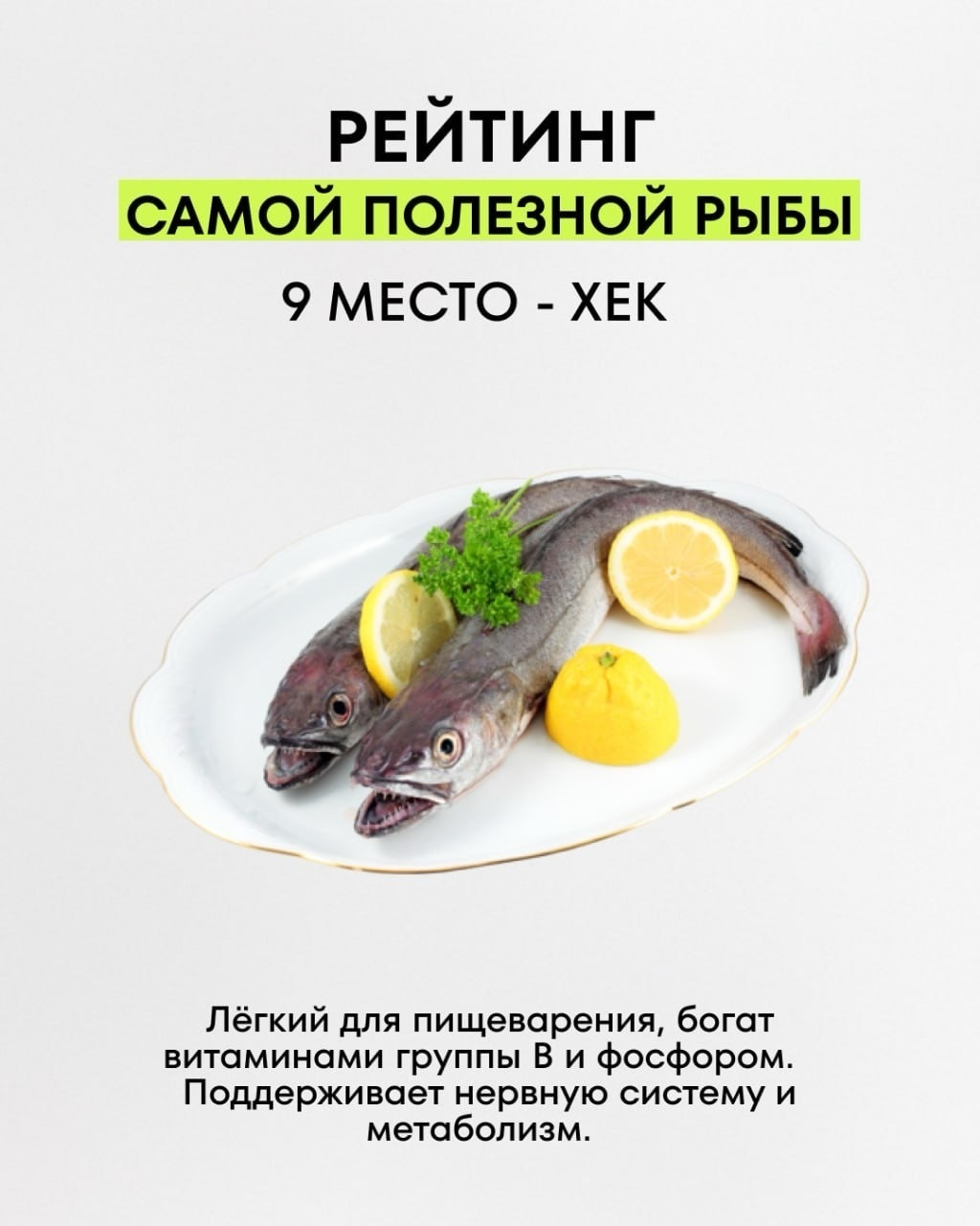 Информация к размышлению: рейтинг полезной рыбы из сети