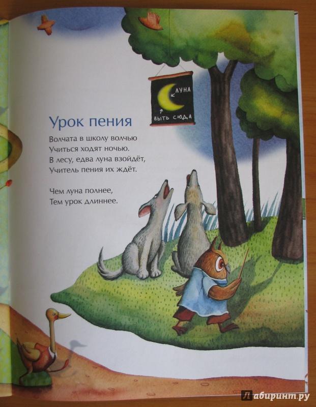 🐺 Волк: жизнь, повадки и роль в природе