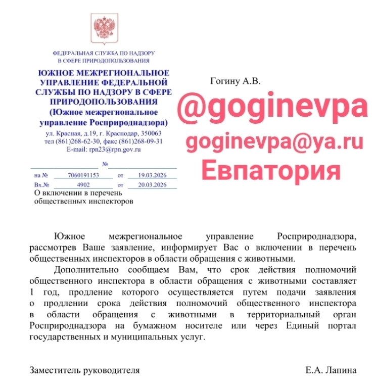 28.05.26. Шок! Бездомный евпаториец Александр Викторович сбежал из больницы!