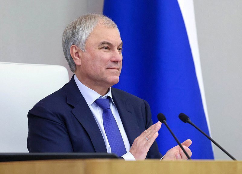 Фильтр кошельком: Госдума рассмотрит законопроект о повышении пошлин для мигрантов в 12 раз