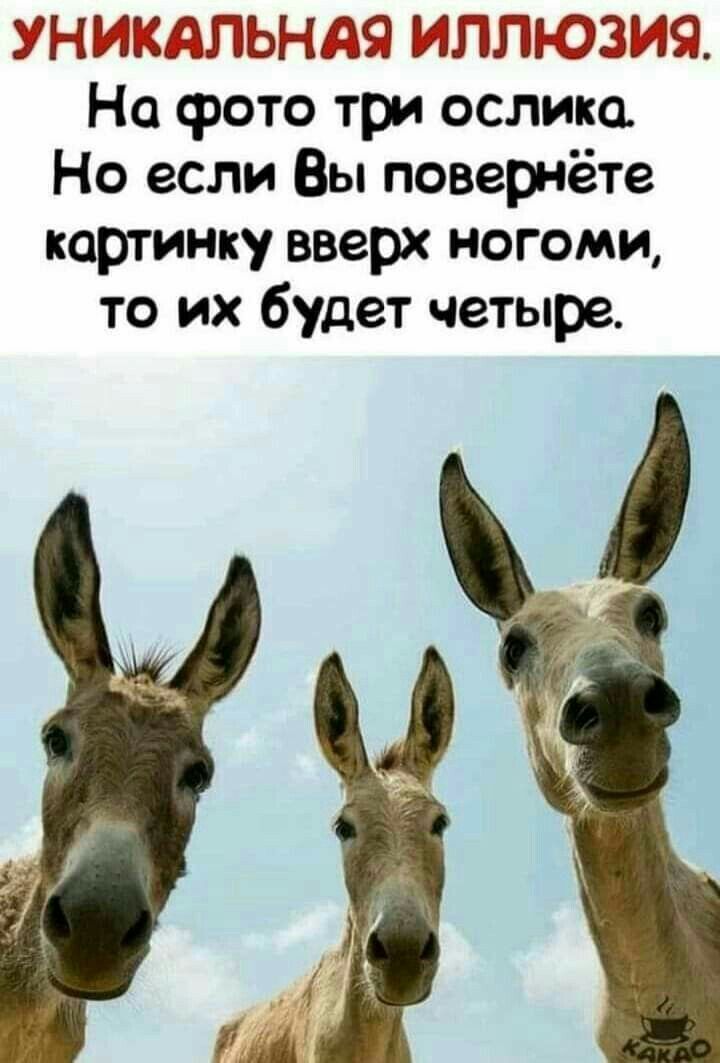 Очень, очень умный юмор. Весёлые картинки