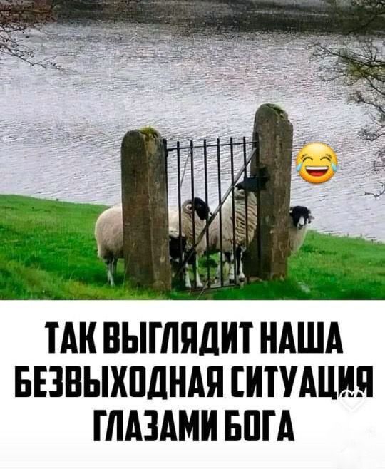 Очень, очень умный юмор. Весёлые картинки