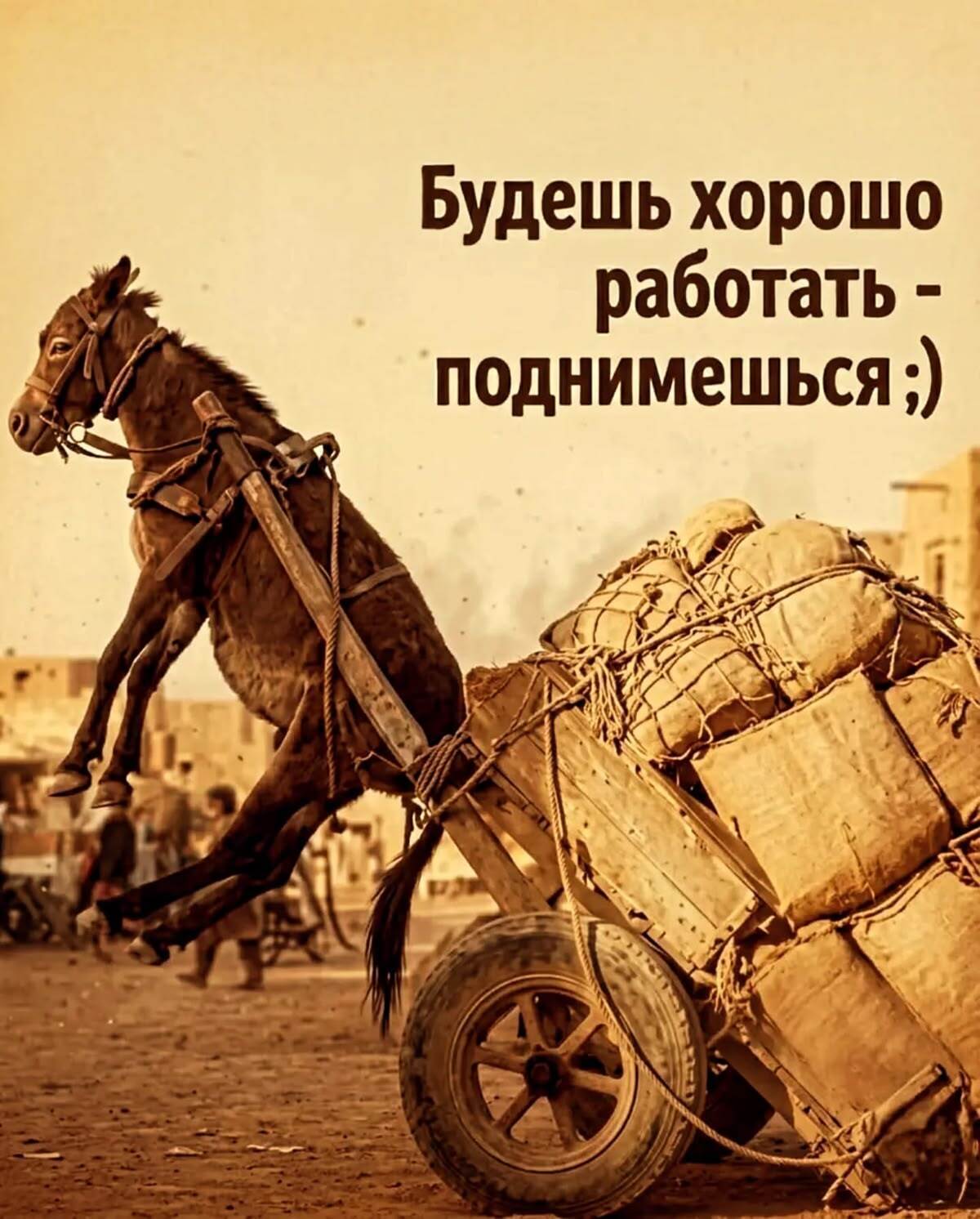 Очень, очень умный юмор. Весёлые картинки