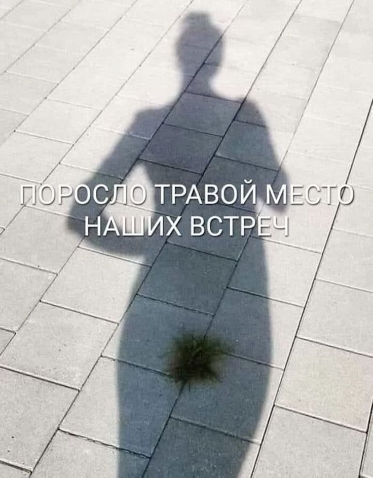 Очень, очень умный юмор. Весёлые картинки