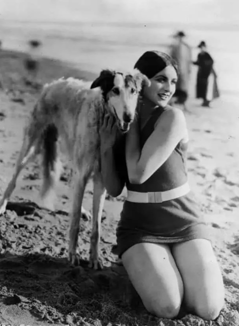 Собаки и их хозяйки на фотографиях XX века: история нежности сквозь объектив