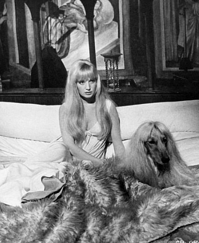 Собаки и их хозяйки на фотографиях XX века: история нежности сквозь объектив