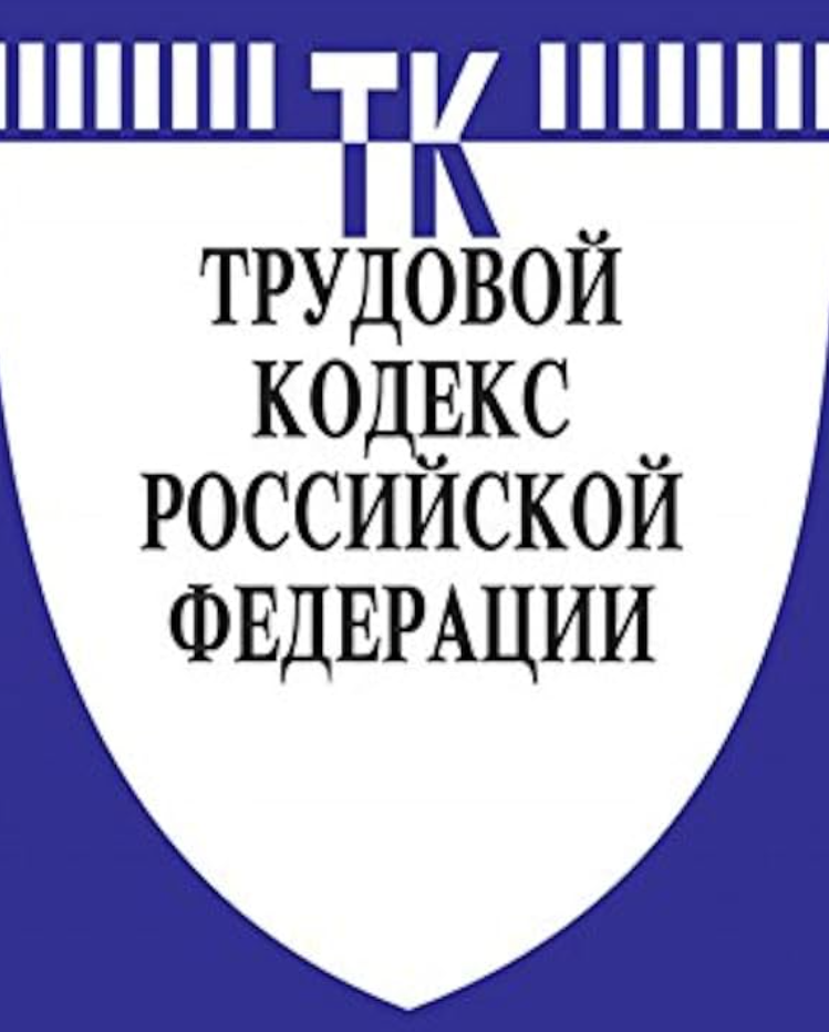 Трудовая инициатива