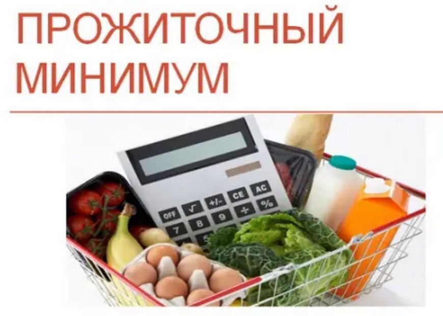 Что нужно знать должнику, чтобы сохранить прожиточный минимум.