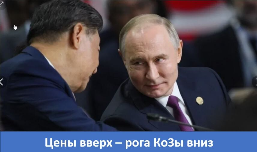 Дорогой сюрприз с редкозёмами (РЗМ) для Запада