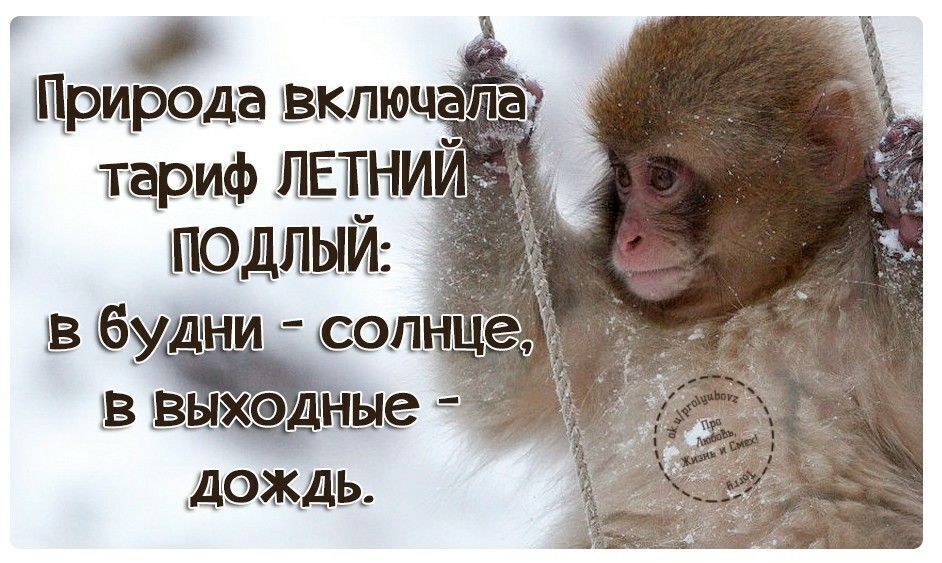 Выходные не по плану: вместо пляжа дождь, вместо прогулки - домашние дела