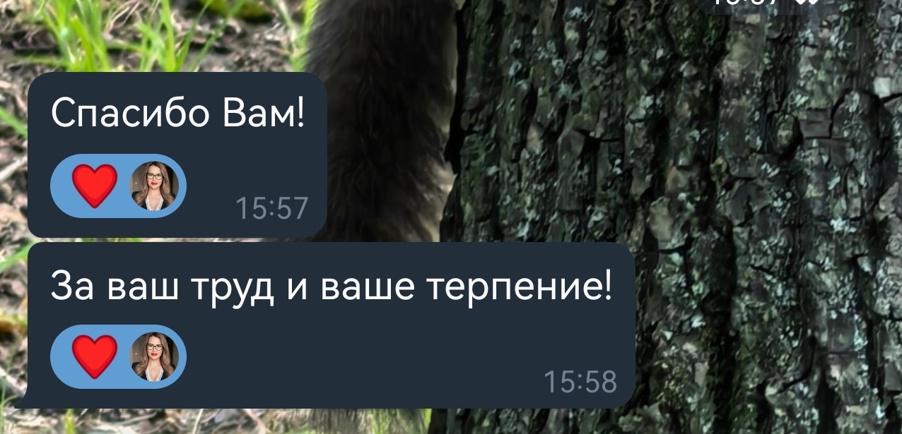 Там, где другие сдаются, юрист Разина Д.А. продолжает - две победы в кассации за один день!