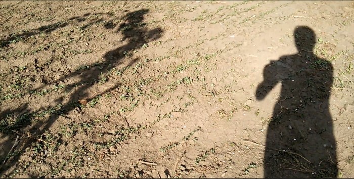 Если земля в огороде заболела или устала, то речной песок может помочь от этого, чтобы земля восстановилась?