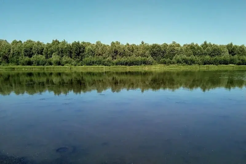Опасность в воде: 4 правила, которые спасут вам жизнь.