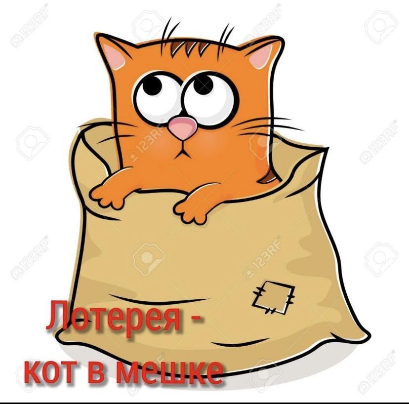 Почему самозанятые не хотят покупать кота в мешке и не поверили в пенсии и больничные