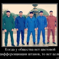 image.jfif