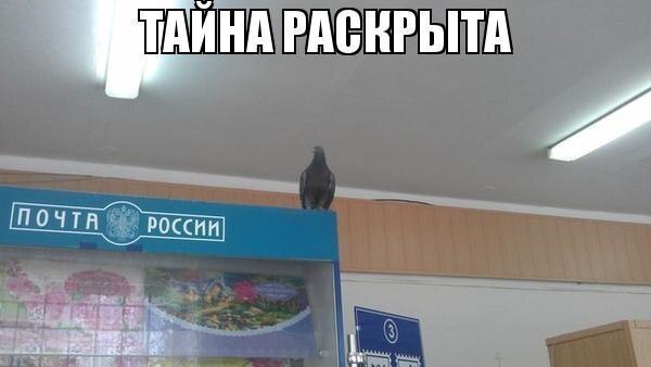 Почему у Почты России всё плохо? Рассказываю после десяти лет работы с ними